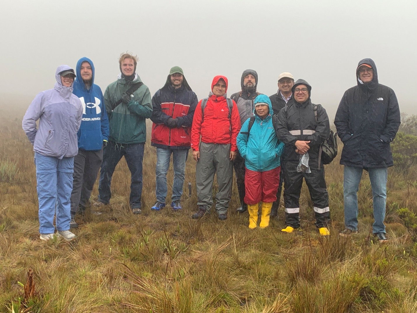 Hendrix Ecuador Group